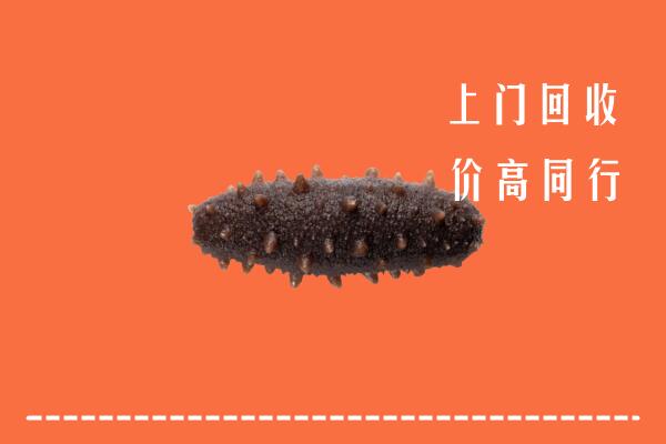 文昌回收海参