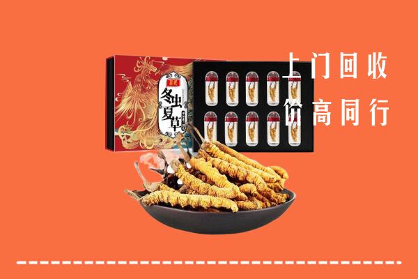 文昌回收虫草
